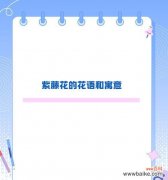 爱情花语有哪些经典语句？如何用花语表达爱情？