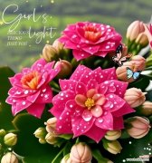 寓意财富繁荣的花是什么？