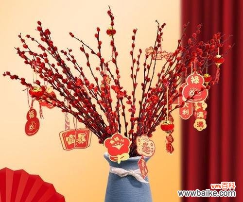 春节象征的花朵有哪些?春节用花的寓意是什么?