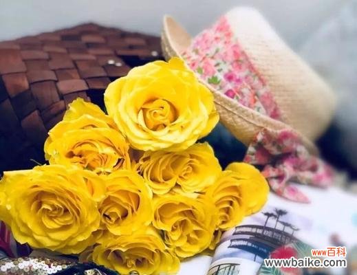 用黄玫瑰传达心意，温暖爱的季节 黄玫瑰花语的深意