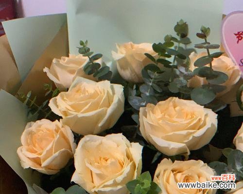 用黄玫瑰传达心意，温暖爱的季节 黄玫瑰花语的深意