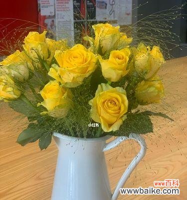 传递幸福与友谊的黄玫瑰 黄玫瑰的寓意及象征之美