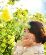 探寻黄蔷薇的心意，美丽中蕴含的情感和象征 黄蔷薇花语及代表意义