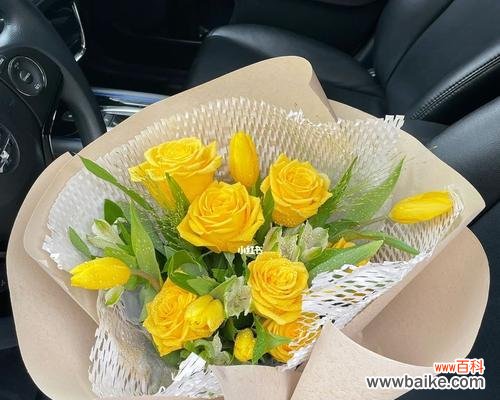 美丽的黄玫瑰绽放出什么样的含义？ 黄玫瑰的花语与象征意义