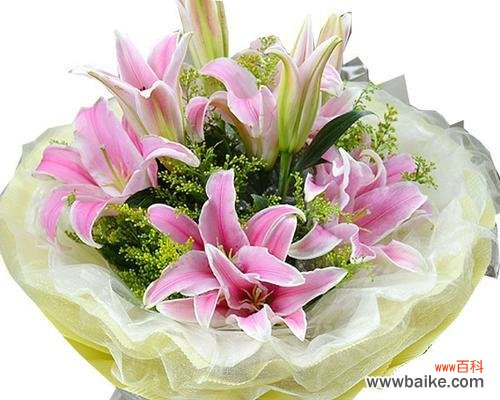 探秘百合花的神秘之处 百合花的象征意义与传说