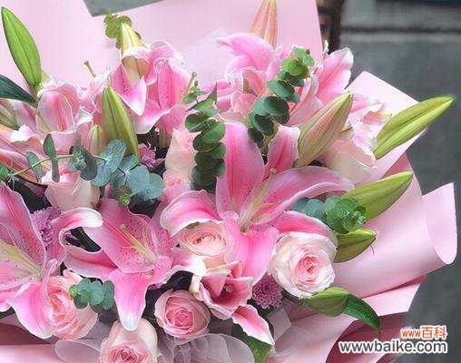 探寻百合花的深层意义 百合花的含义与象征