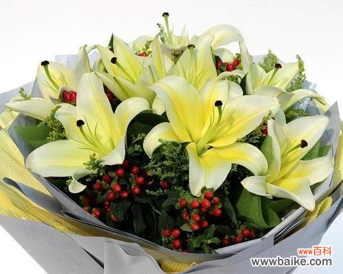 探寻百合花的深层含义 百合花