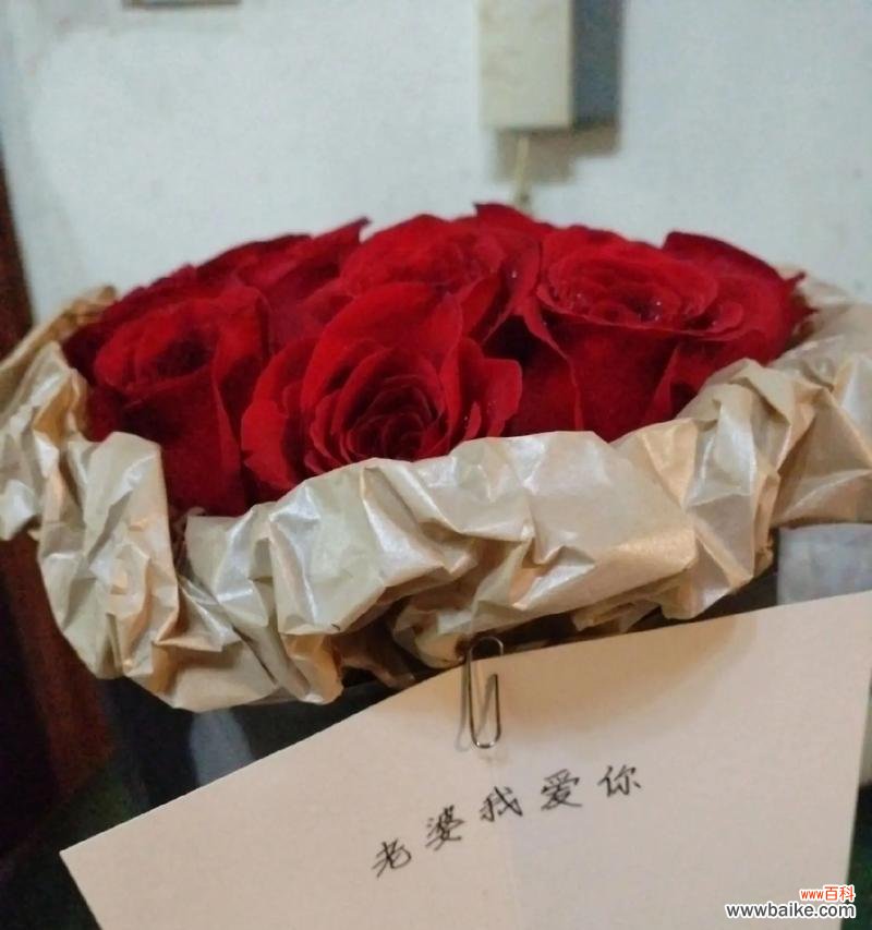 老公送红色玫瑰花代表什么？红色玫瑰花的寓意是什么？