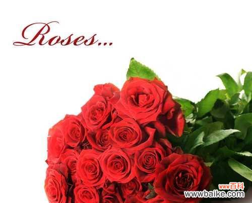 红色腊梅和玫瑰花组合的含义是什么？