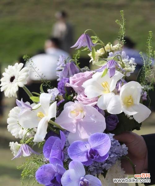 哪些花适合做手捧花?它们各自有什么寓意?