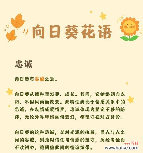 花语传播的创作背景是什么？它如何影响花的寓意？