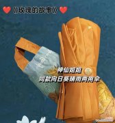 金色玫瑰花雨伞有何特殊寓意？