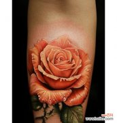 玫瑰花象征爱情的传说有哪些？玫瑰花代表爱情的由来是什么？