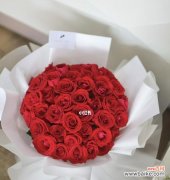 用花语解读玫瑰的神秘语言 玫瑰花的象征意义与代表数目