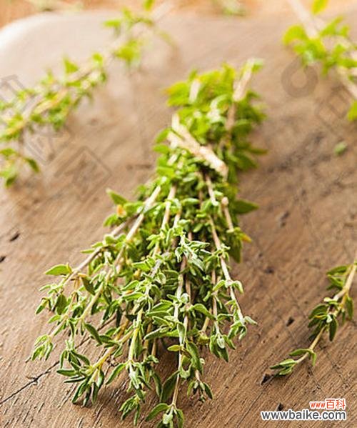 唤醒内心的力量 百里香花语