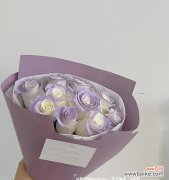 探寻薄雾玫瑰花的浪漫与深意 薄雾玫瑰花语