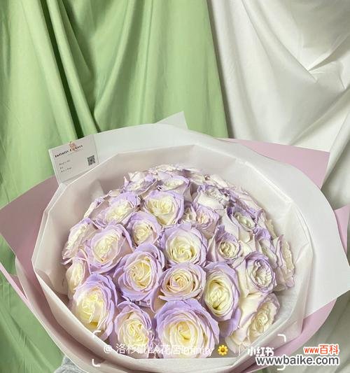 探寻薄雾玫瑰花的浪漫与深意 薄雾玫瑰花语