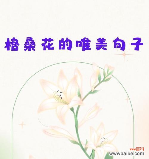 如何用花语表达浪漫的时光?花语浪漫的时光有哪些?