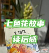 七色花各自代表了哪些意义和象征？