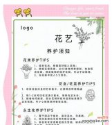 如何养护寓意健康的花材？养护方法有哪些？