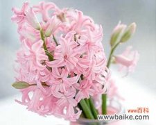 田赛花哭娘的情节有何意义？它的寓意是什么？