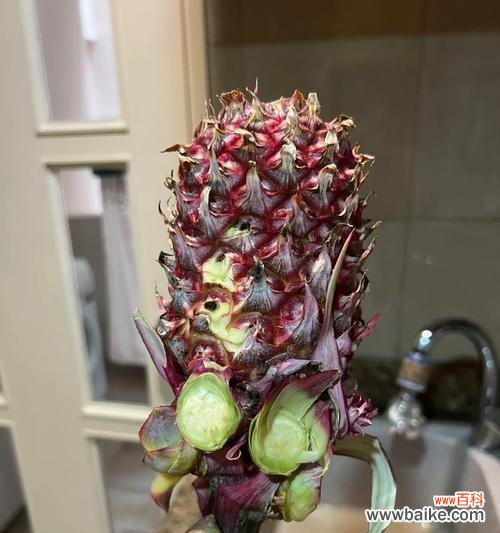 田赛花哭娘的情节有何意义？它的寓意是什么？