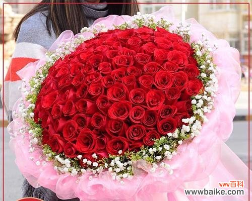 99朵玫瑰花代表什么?红色玫瑰花的含义是什么?