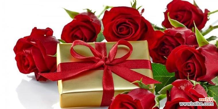 红色中哪种花象征着爱情？