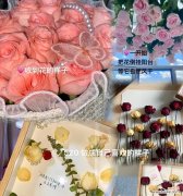 道具浪漫旋转花语是什么？如何表达浪漫？