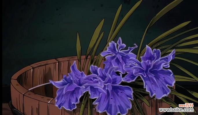 花的传统意象意义是什么?花在文化中象征着什么?