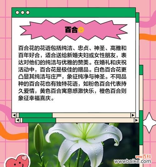 哪种花象征浪漫爱情?它们的花语是什么?