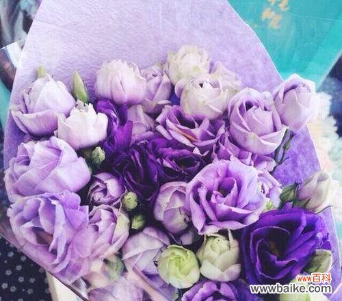 探寻桔梗花的花语和象征，揭示自由与勇气的真谛 桔梗花语与象征