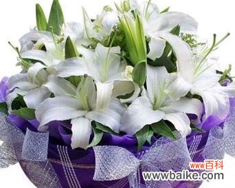 白色的花寓意是什么?白色花卉在不同场合的象征意义?