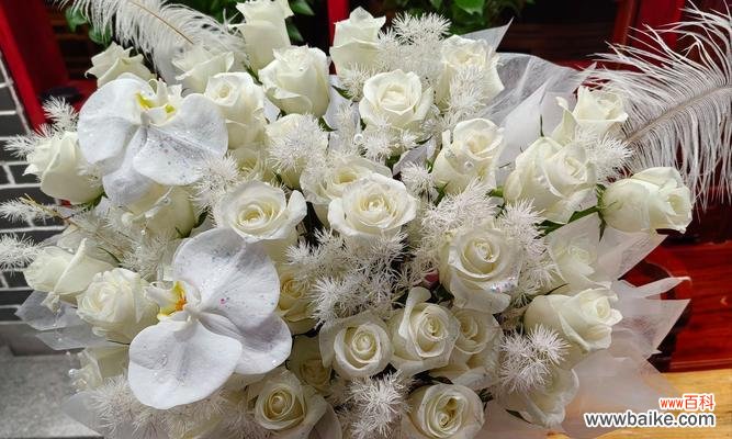 白色的花寓意是什么?白色花卉在不同场合的象征意义?