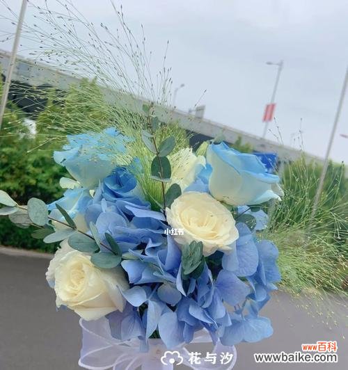 蓝色花束手捧花代表什么?蓝色花束的花语有哪些?