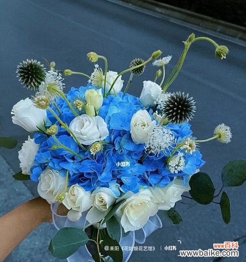 蓝色花束手捧花代表什么?蓝色花束的花语有哪些?