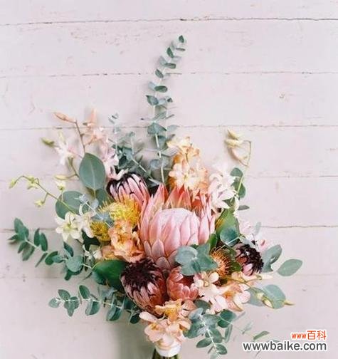 中式浅色手捧花的寓意是什么?幸运花两种颜色的寓意是什么?