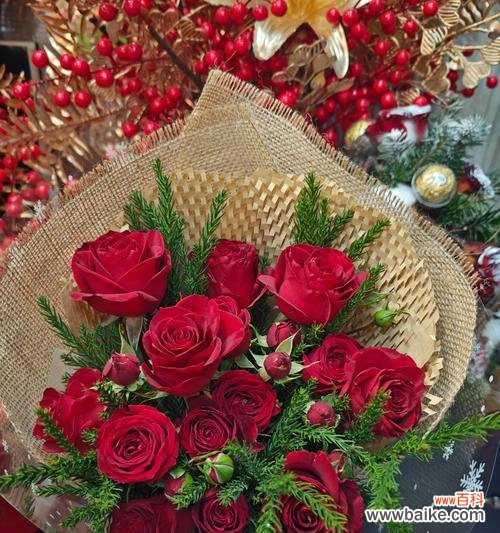 哪些花象征爱情和幸福？爱情幸福花的种类有哪些？