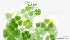 幸运与希望的象征——四叶草的花语及其文化内涵 四叶草的花语与象征意义