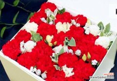 热情 大红色康乃馨的花语——传递爱与祝福的象征