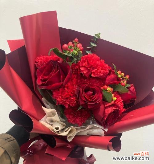 热情 大红色康乃馨的花语——传递爱与祝福的象征