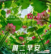 花的寓意和吉祥语句有哪些？如何挑选合适的花朵祝福？