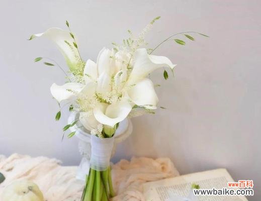 韩式红白色捧花代表什么意义？