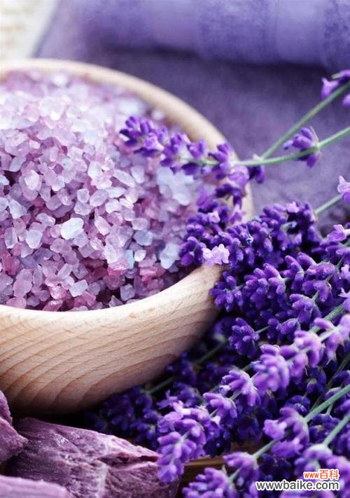 唤醒心灵,重拾希望的花朵 松虫草花语-绿色希望的象征