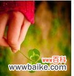 寻找幸运的标志,四叶草的魅力 四叶草在爱情中的象征意义