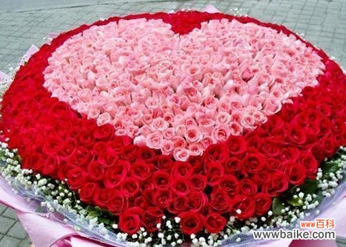 揭开九朵玫瑰背后的秘密，了解真正的寓意 九朵玫瑰的花语和象征意义