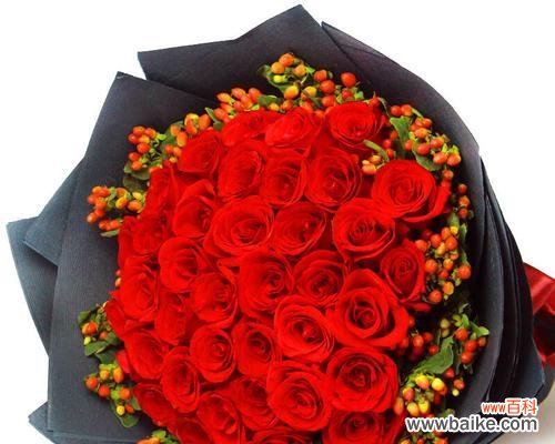 送33朵玫瑰的真正含义与解读 33朵玫瑰的寓意和象征意义