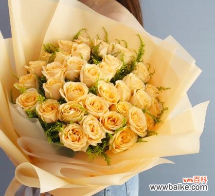 解读11朵香槟玫瑰所代表的美好寓意 11朵香槟玫瑰的寓意与象征