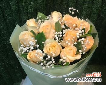 解读11朵香槟玫瑰所代表的美好寓意 11朵香槟玫瑰的寓意与象征