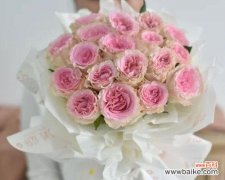 揭开粉色玫瑰背后的真正含义 浪漫的粉色玫瑰之谜